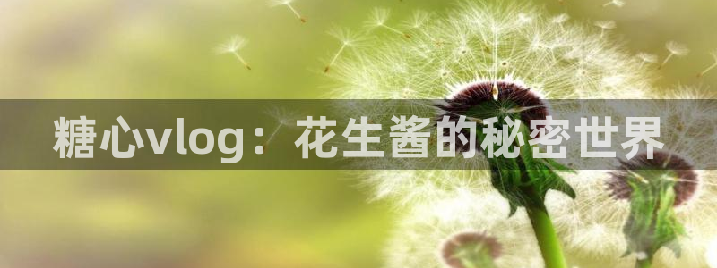糖心vlog黄：糖心vlog：花生酱的秘密世界