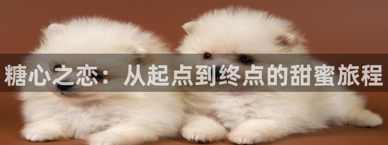 糖心vlog芒果：糖心之恋：从起点到终点的甜蜜旅程