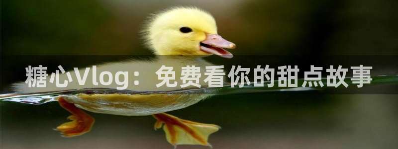 糖心vlog甜心宝贝：糖心Vlog：免费看你的甜点故事