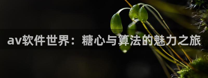 糖心vlog网络错误：av软件世界：糖心