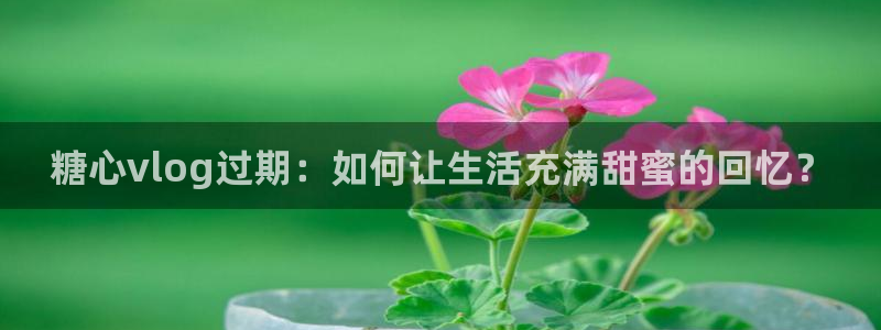 糖心vlog账号：糖心vlog过期：如何让生活充满甜蜜的回忆？