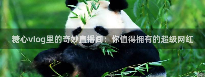 糖心vlog小桃酱照片：糖心vlog里的奇妙直播间：你值得拥有的超级网红