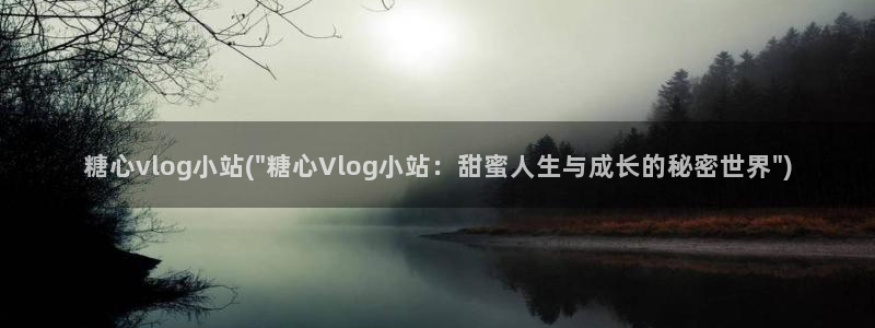 蜜桃糖心vlog：糖心vlog小站(\