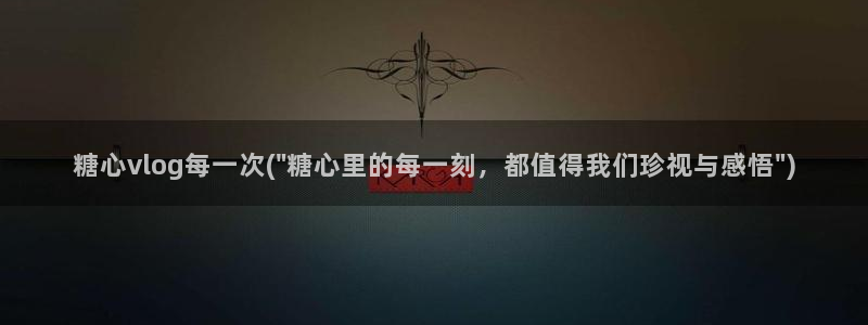 糖心vlog黄色：糖心vlog每一次(\