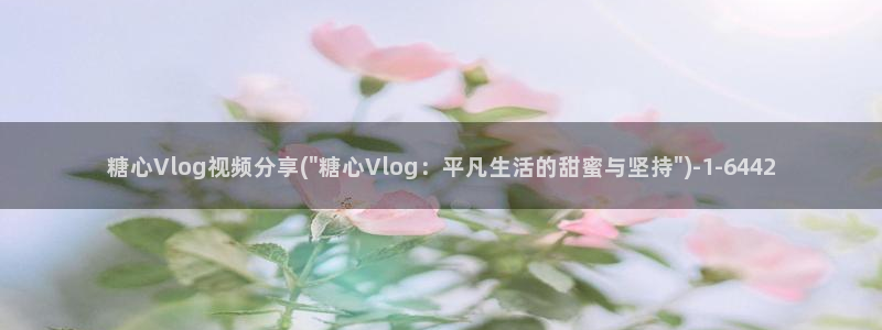 糖心vlog注销：糖心Vlog视频分享(