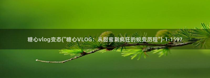 流氓糖心vlog：糖心vlog变态(\