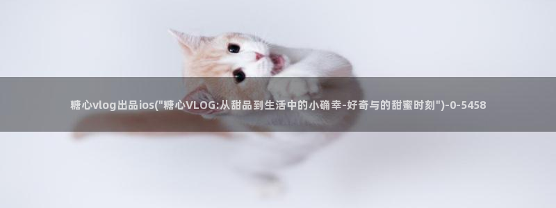 糖心vlog会员详情:糖心vlog出品ios(\