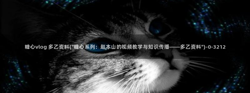 vlog糖心大全：糖心vlog 多乙资料