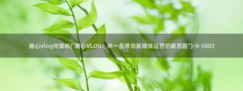 糖心vlog露出：糖心vlog传媒林(\