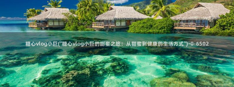  糖心vlog深夜：糖心vlog小巨(\