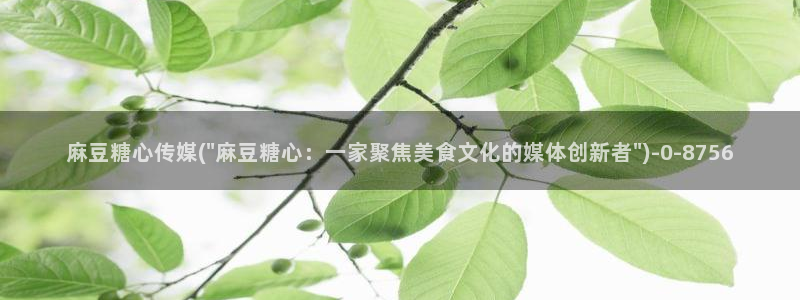  糖心vlog电影：麻豆糖心传媒(\