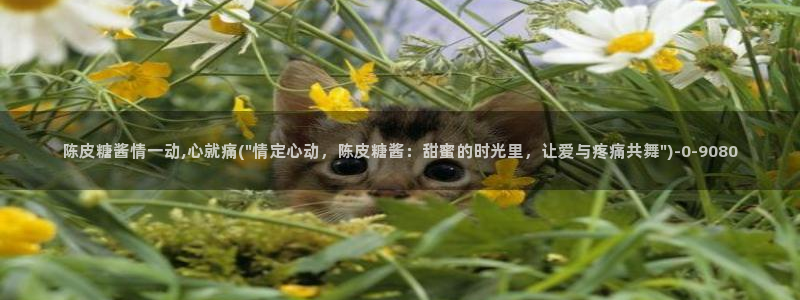  糖心vlog网页在线观看：陈皮糖酱情一动,心就痛(\