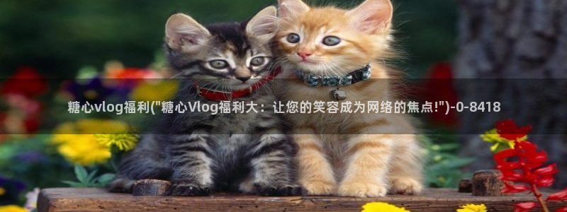  破解版糖心vlog下载：糖心vlog福利(\