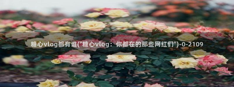 糖心vlog女主